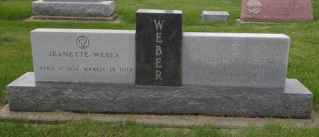 WEBER, JEANETTE - Delaware County, Iowa | JEANETTE WEBER 