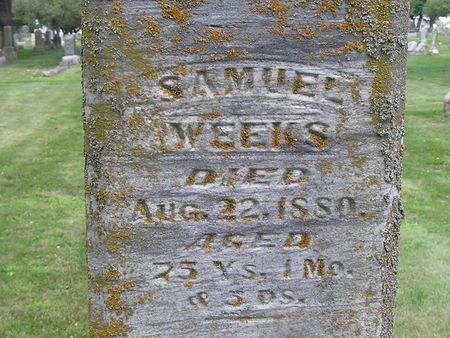 WEEKS, SAMUEL - Delaware County, Iowa | SAMUEL WEEKS 
