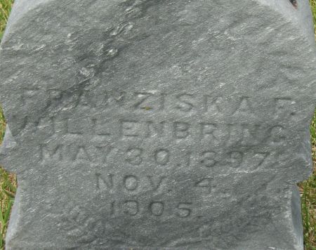 WILLENBRING, FRANZISKA F. - Delaware County, Iowa | FRANZISKA F. WILLENBRING 