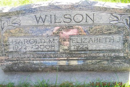 WILSON, HAROLD M. - Delaware County, Iowa | HAROLD M. WILSON 