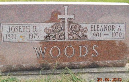 WOODS, JOSEPH R. - Delaware County, Iowa | JOSEPH R. WOODS 