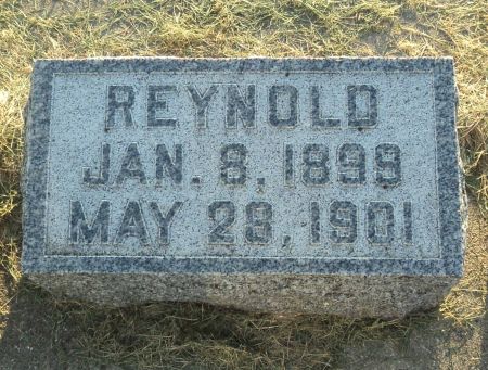 DUSTER, REYNOLD - Delaware County, Iowa | REYNOLD DUSTER 