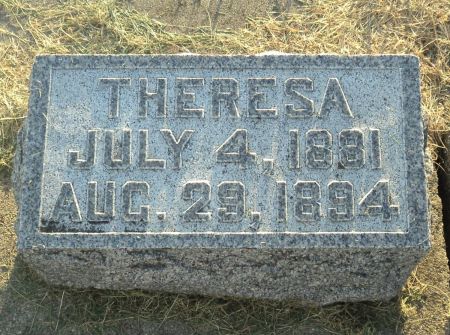 DUSTER, THERESA - Delaware County, Iowa | THERESA DUSTER 