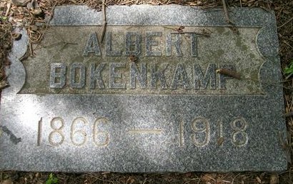 BOKENKAMP, ALBERT - Des Moines County, Iowa | ALBERT BOKENKAMP 