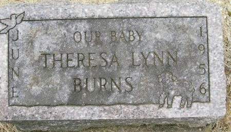 BURNS, THERESA LYNN - Des Moines County, Iowa | THERESA LYNN BURNS 