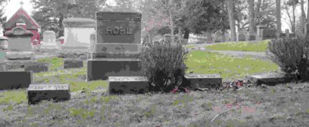 HOHL, FAMILY PLOT - Des Moines County, Iowa | FAMILY PLOT HOHL 