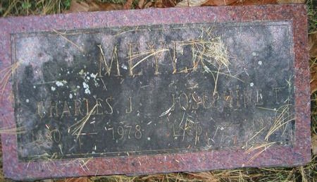 MEYER, JOSEPHINE H. - Des Moines County, Iowa | JOSEPHINE H. MEYER 