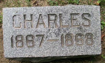 PARMETER, CHARLES - Des Moines County, Iowa | CHARLES PARMETER 