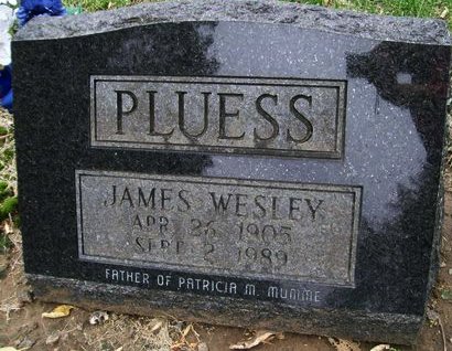 PLUESS, JAMES WESLEY - Des Moines County, Iowa | JAMES WESLEY PLUESS 
