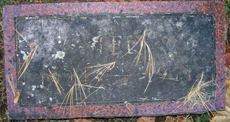 THOMPSON, THEODORE - Des Moines County, Iowa | THEODORE THOMPSON 