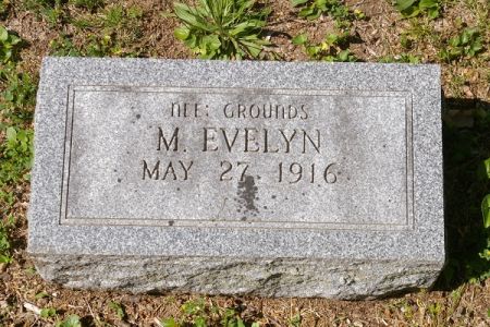 VOLGER, M. EVELYN - Des Moines County, Iowa | M. EVELYN VOLGER 