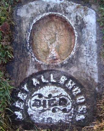 ALLSHOUSE, MARY - Dubuque County, Iowa | MARY ALLSHOUSE 