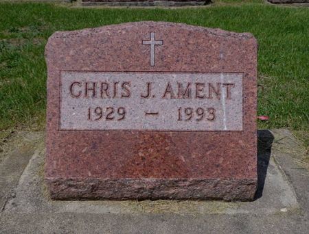 AMENT, CHRIS J. - Dubuque County, Iowa | CHRIS J. AMENT 