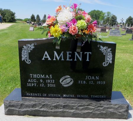AMENT, THOMAS - Dubuque County, Iowa | THOMAS AMENT 