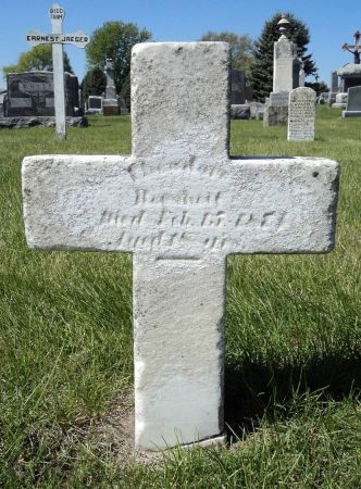 BEARSHEIT, THEADORE - Dubuque County, Iowa | THEADORE BEARSHEIT 