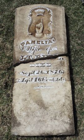 BELL ?, PAMELIA - Dubuque County, Iowa | PAMELIA BELL ? 