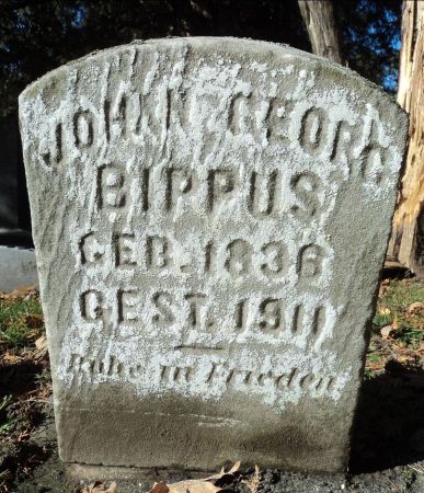 BIPPUS, JOHAN GEORGE - Dubuque County, Iowa | JOHAN GEORGE BIPPUS 