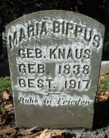 KNAUS BIPPUS, MARIA - Dubuque County, Iowa | MARIA KNAUS BIPPUS 