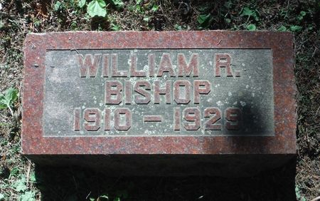 BISHOP, WILLIAM R. - Dubuque County, Iowa | WILLIAM R. BISHOP 