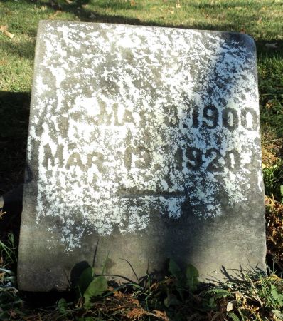 BLUECHER, ANNA - Dubuque County, Iowa | ANNA BLUECHER 