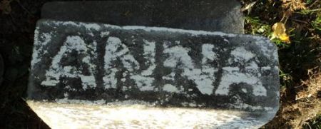 BLUECHER, ANNA - Dubuque County, Iowa | ANNA BLUECHER 