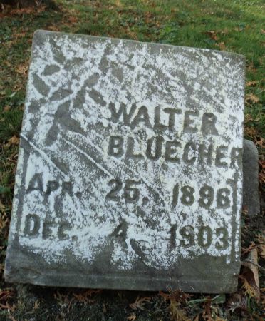 BLUECHER, WALTER - Dubuque County, Iowa | WALTER BLUECHER 
