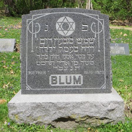 BLUM, MOTHER - Dubuque County, Iowa | MOTHER BLUM 