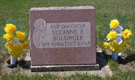 BOLSINGER, SUZANNE E. - Dubuque County, Iowa | SUZANNE E. BOLSINGER 