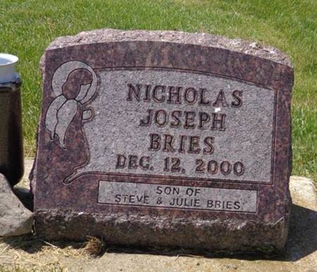 BRIES, NICHOLAS JOSEPH - Dubuque County, Iowa | NICHOLAS JOSEPH BRIES 