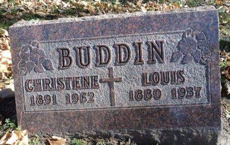 BUDDIN, CHRISTENE - Dubuque County, Iowa | CHRISTENE BUDDIN 
