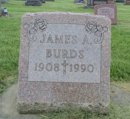 BURDS, JAMES A. - Dubuque County, Iowa | JAMES A. BURDS 