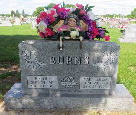 BURNS, JOSEPH F. - Dubuque County, Iowa | JOSEPH F. BURNS 