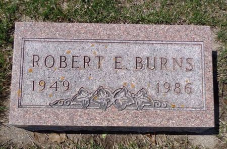 BURNS, ROBERT E. - Dubuque County, Iowa | ROBERT E. BURNS 