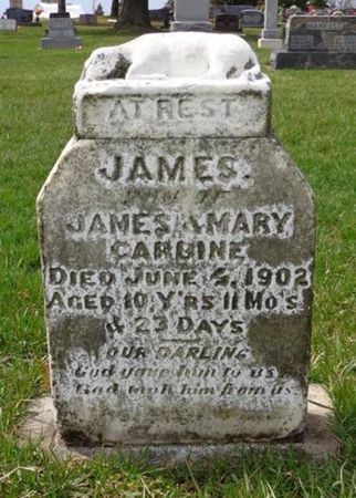 CARBINE, JAMES - Dubuque County, Iowa | JAMES CARBINE 