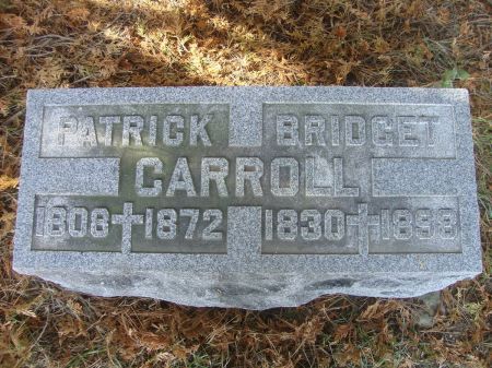 CARROLL, BRIDGET - Dubuque County, Iowa | BRIDGET CARROLL 