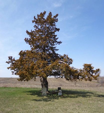 BETHEL-MCGEE, CEMETERY - Dubuque County, Iowa | CEMETERY BETHEL-MCGEE 