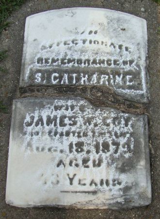 COY, S. CATHARINE - Dubuque County, Iowa | S. CATHARINE COY 