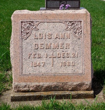 DEMMER, LOIS ANN - Dubuque County, Iowa | LOIS ANN DEMMER 