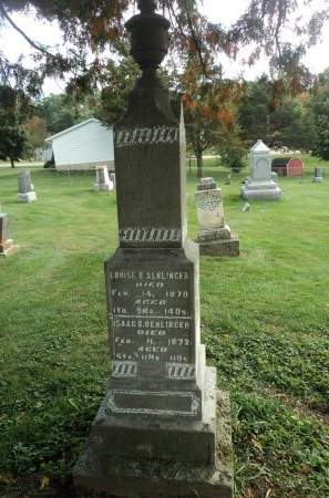 DENLINGER, LOUISE S. - Dubuque County, Iowa | LOUISE S. DENLINGER 