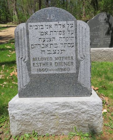 DIENER, ESTHER - Dubuque County, Iowa | ESTHER DIENER 