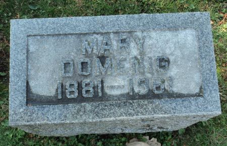 DOMENIG, MARY - Dubuque County, Iowa | MARY DOMENIG 