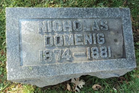 DOMENIG, NICHOLAS - Dubuque County, Iowa | NICHOLAS DOMENIG 
