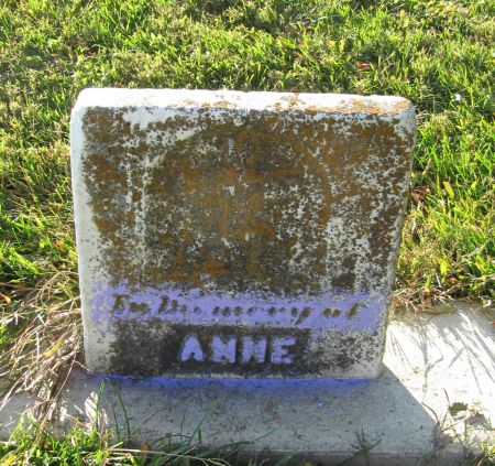 DOOLY, ANNE - Dubuque County, Iowa | ANNE DOOLY 