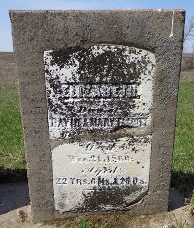 ELLIOTT, ELIZABETH - Dubuque County, Iowa | ELIZABETH ELLIOTT 