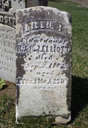 ELLIOTT, LILE-- - Dubuque County, Iowa | LILE-- ELLIOTT 