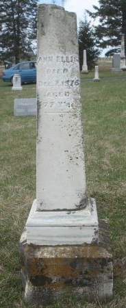 ELLIS, ANN - Dubuque County, Iowa | ANN ELLIS 