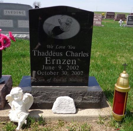 ERNZEN, THADDEUS CHARLES - Dubuque County, Iowa | THADDEUS CHARLES ERNZEN 