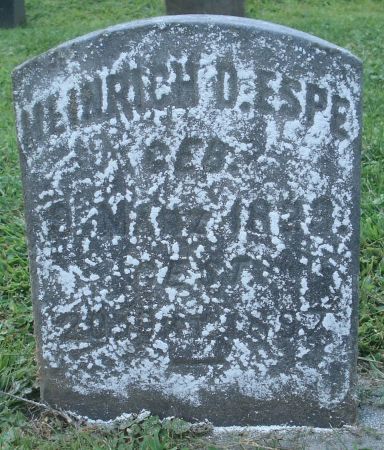 ESPE, HEINRICH D. - Dubuque County, Iowa | HEINRICH D. ESPE 