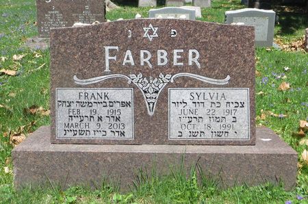 FEIN FARBER, SYLVIA - Dubuque County, Iowa | SYLVIA FEIN FARBER 
