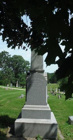 FELLOWS`, ALICE - Dubuque County, Iowa | ALICE FELLOWS` 